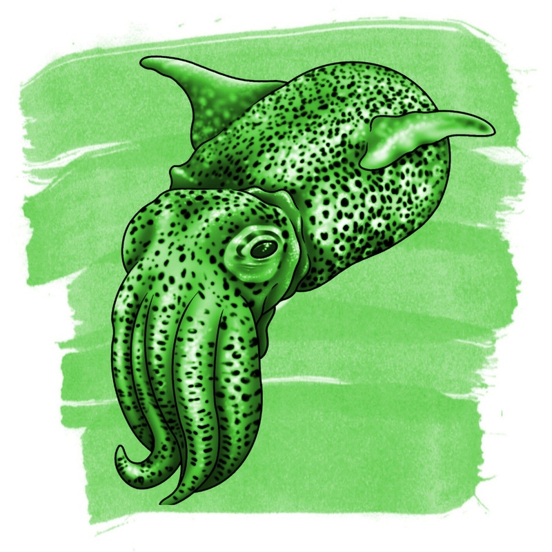 Anderillium Cephalopod Ink – Bobtail Squid Green – 1.5 oz