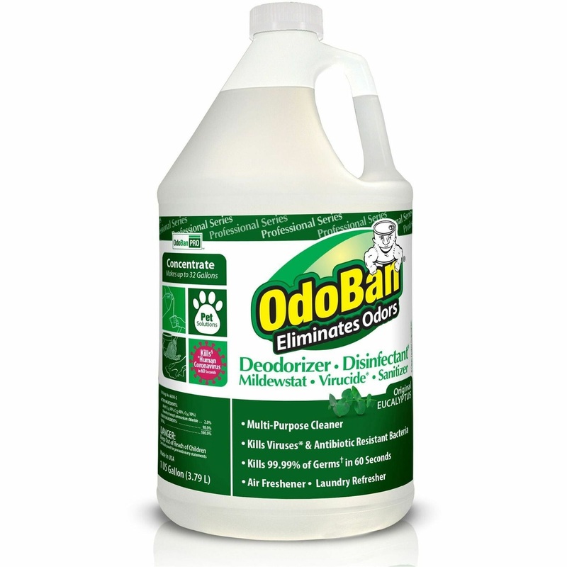 OdoBan Eucalyptus Multi-purpose Deodorizer Disinfectant Concentrate – Concentrate – 128 fl oz (4 quart) – Eucalyptus Scent – Deodorant, Disinfectant, Residue-free, Antibacterial – Green – 1 Each
