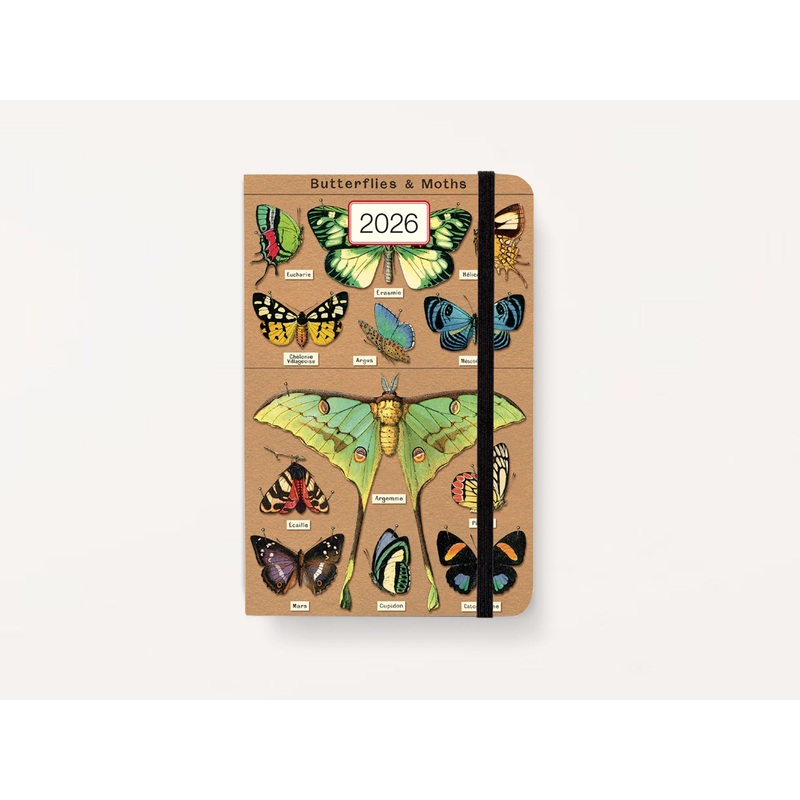 Cavallini 2026 WEEKLY PLANNER – Entomology