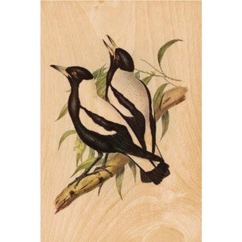 Ikonink Magpie Postcard