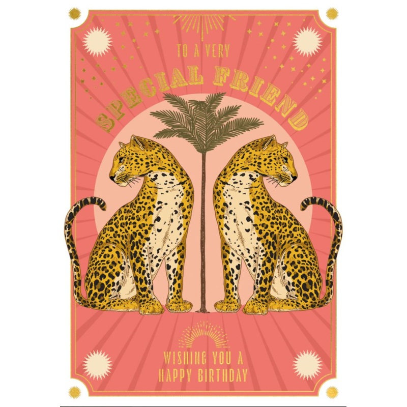 Birthday – Special Friend