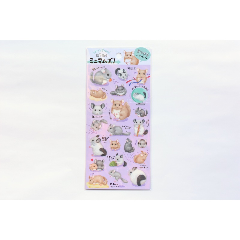 Miniature Pet Animals – Chinchilla