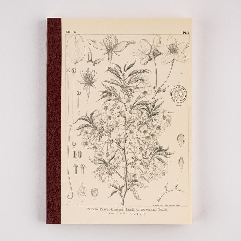 Hobonichi A5 Notebook – Graph – Tomitaro Makino: Yamazakura