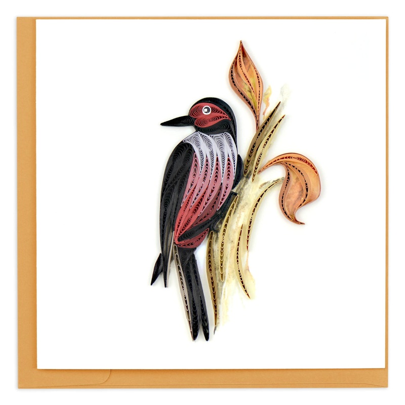 Quilled Lewis’s Woodpecker Greeting Card