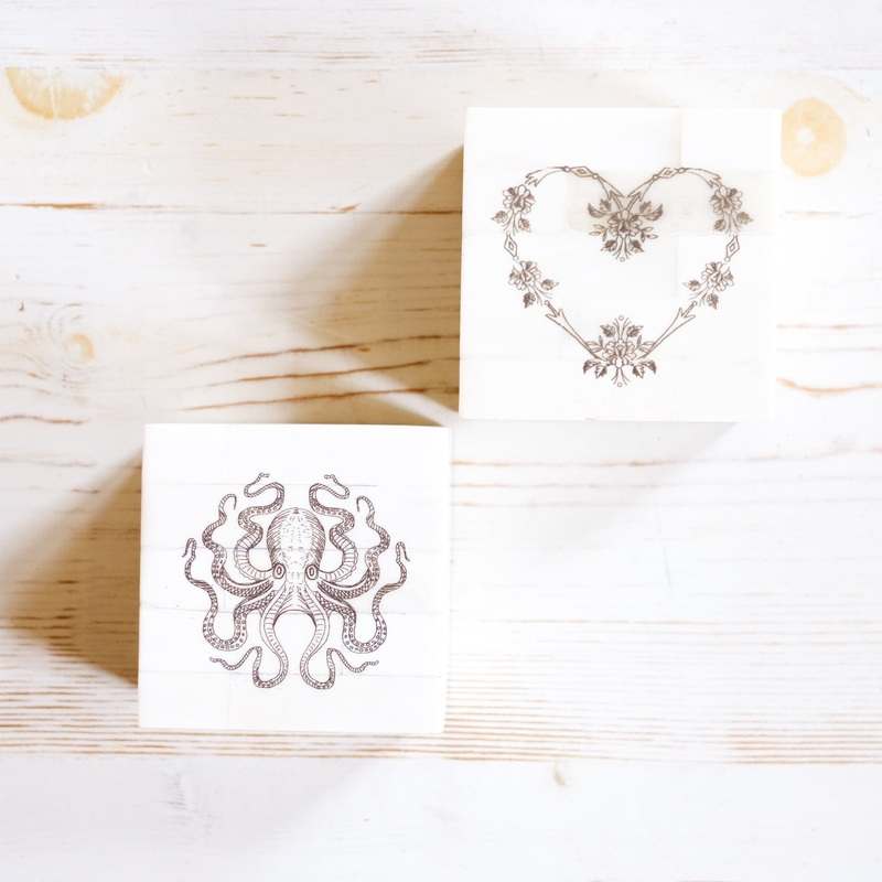 White Bone Box Octopus