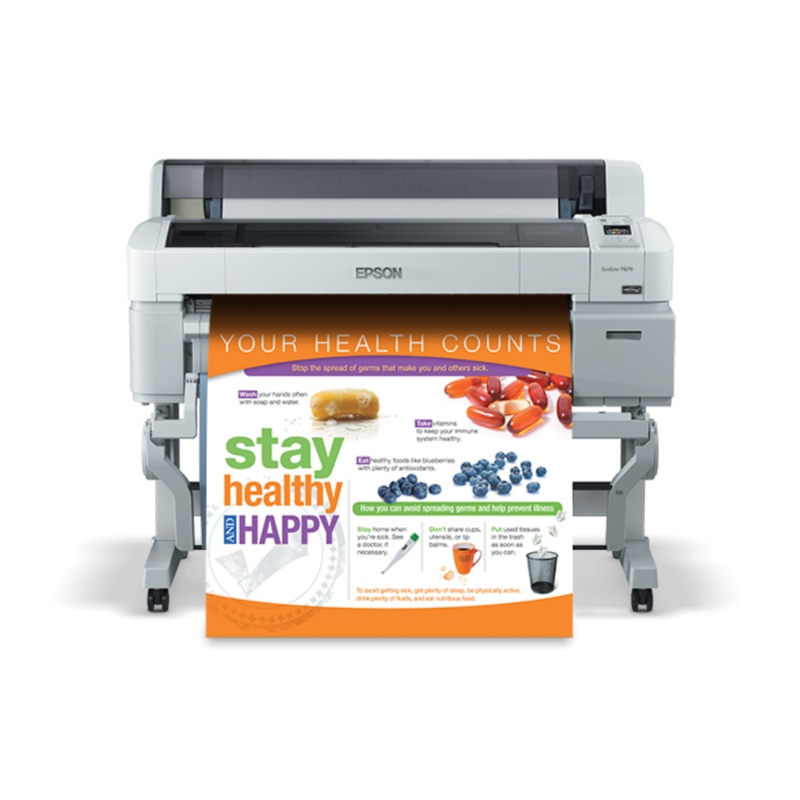 Epson SureColor T5270D 36-inch 2 Roll Color Inkjet Wide Format Printer