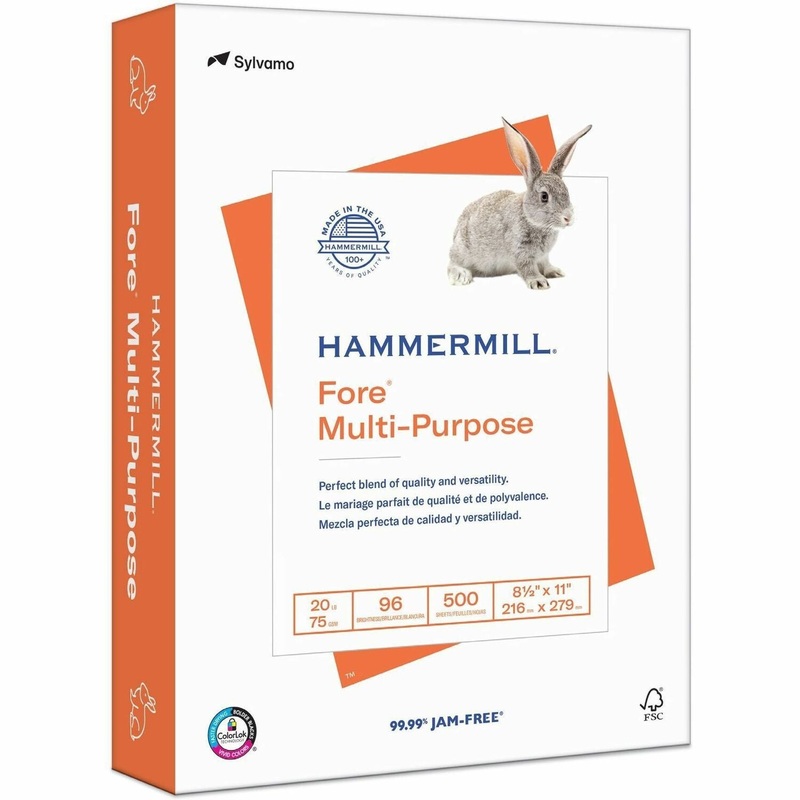 Hammermill Fore Multipurpose Copy Paper – White – 96 Brightness – Letter – 8 1/2″ x 11″ – 24 lb Basis Weight – Jam-free, Archival-safe – White – 500 Sheets per Ream – 10 / Carton