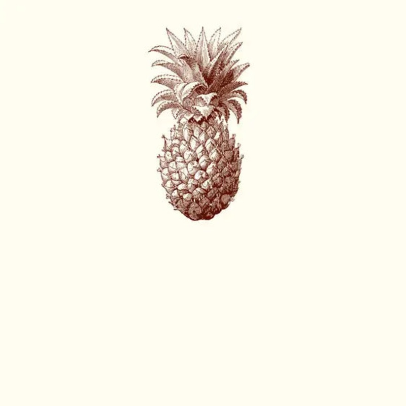 Alexa Pulitzer Pineapple Place Card