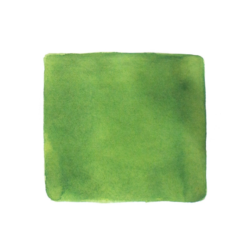 Floating Catkins – 2ml