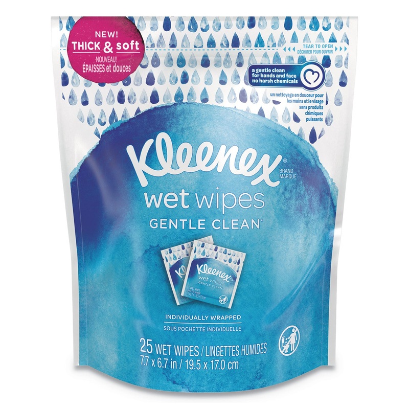 WET WIPES GENTLE CLEAN FOR HANDS AND FACE, WHITE, 25 TOWELS/POUCH, 8 POUCHES/CARTON
