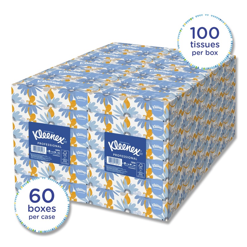 WHITE FACIAL TISSUE, 2-PLY, WHITE, 100 SHEETS/BOX, 10 BOXES/BUNDLE, 6 BUNDLES/CARTON