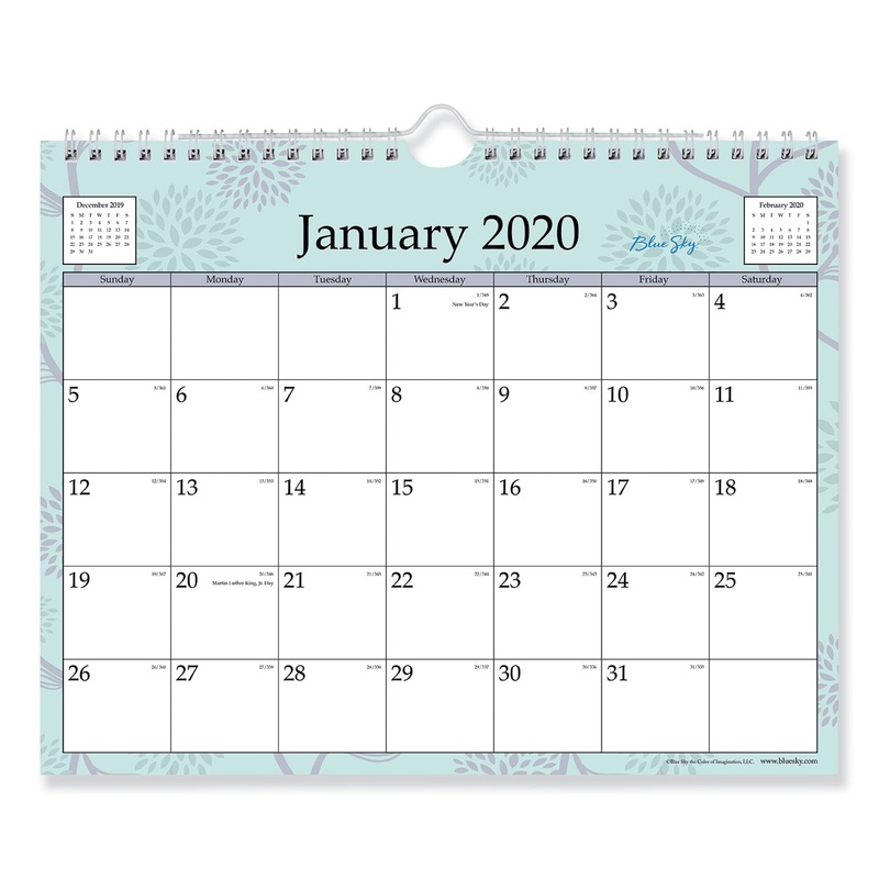 RUE DU FLORE WIREBOUND WALL CALENDAR, 11 X 8 3/4, 2020