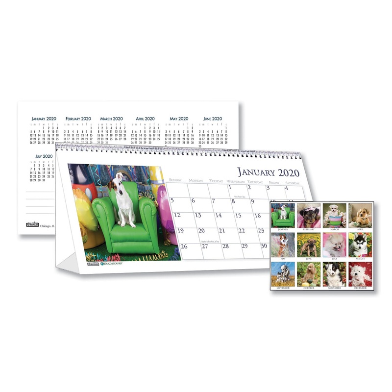 RECYCLED PUPPY PHOTOS DESK TENT MONTHLY CALENDAR, 8 1/2 X 4 1/2, 2020