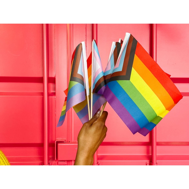 Progress Pride Flag Stick