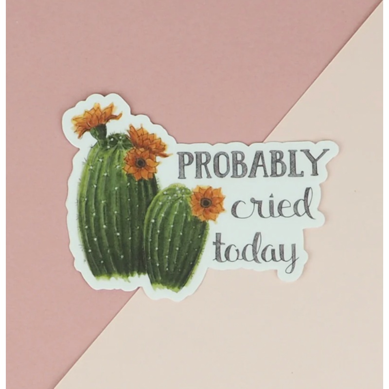 Probably Cried Today Vinyl Sticker