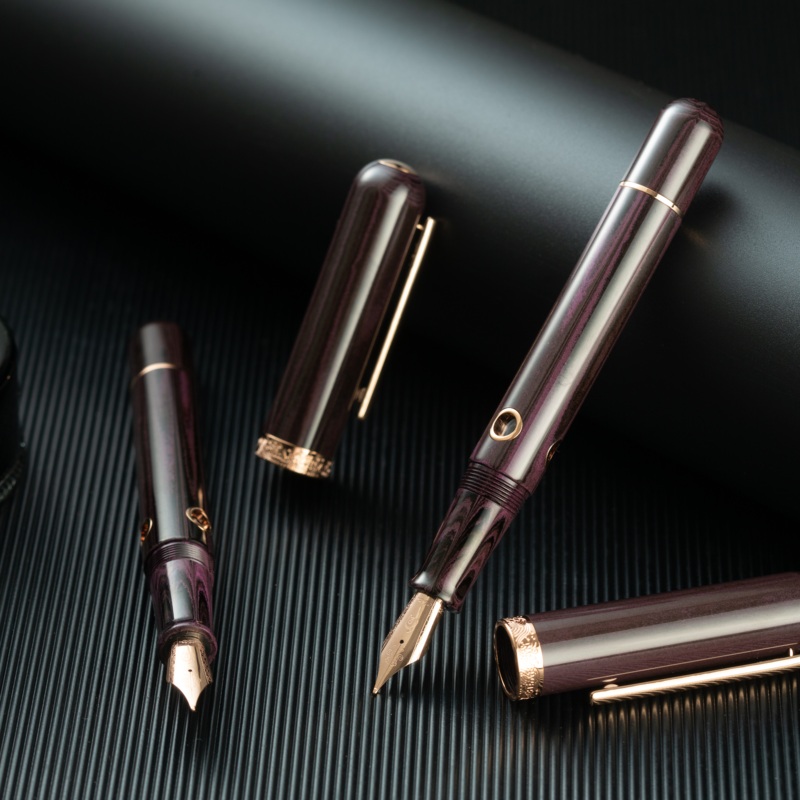 Nahvalur (Narwhal) Nautilus Fountain Pen – Stylophora Berry Fine