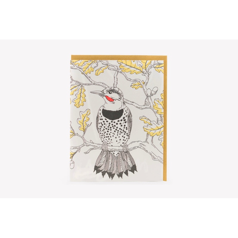 PORCHLIGHT PRESS Greeting Card – Nature Birds: Northern Flicker