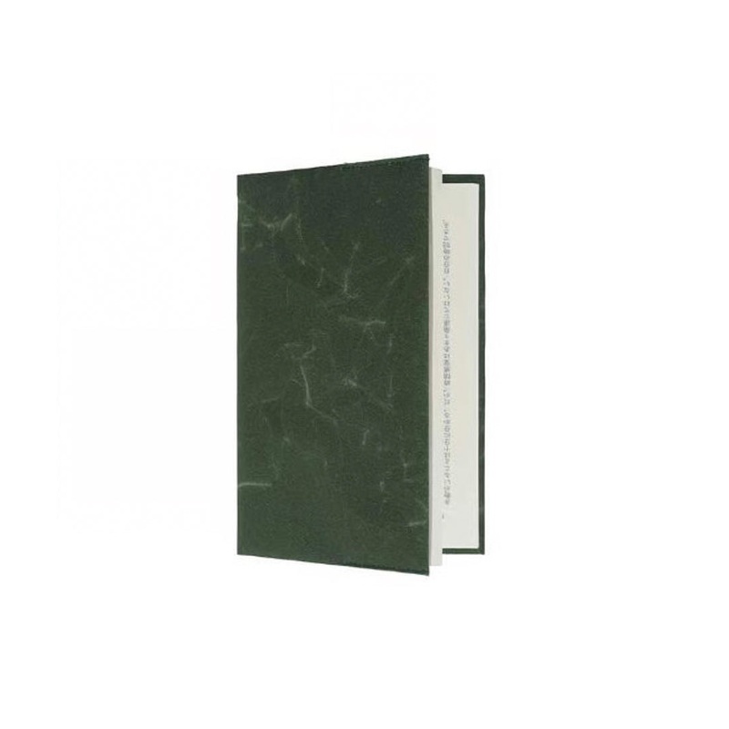 SIWA Book Cover- Green