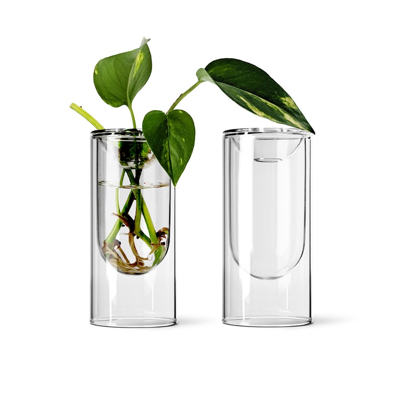 Propagation Vase Small Set of 2