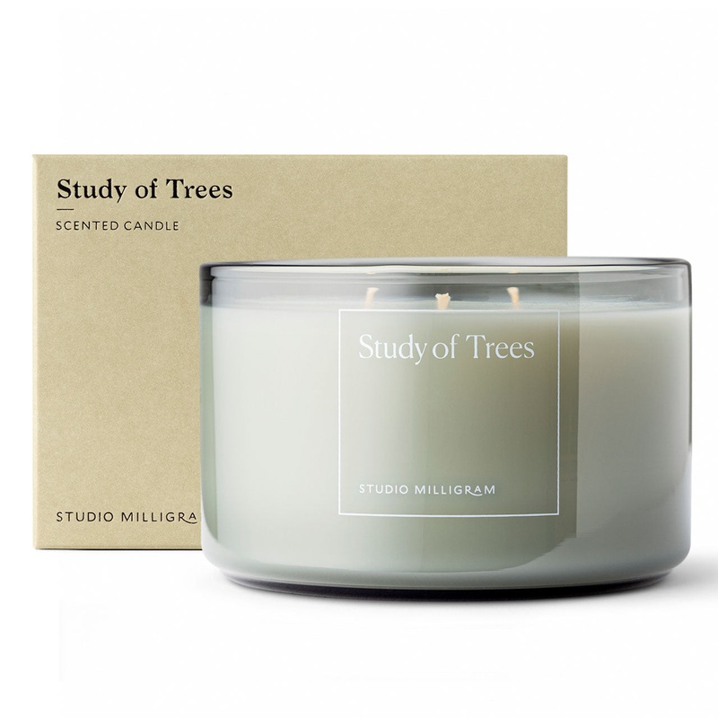 Study of Trees Three Wick Scented Candle 600g