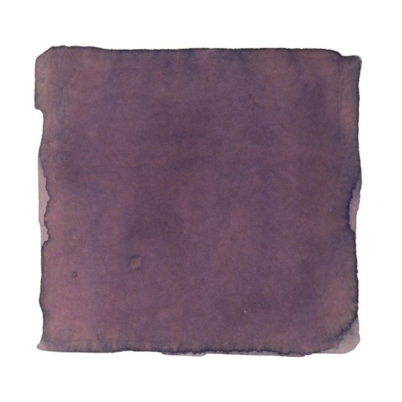 Cat Guards in the Courtyard – 2ml