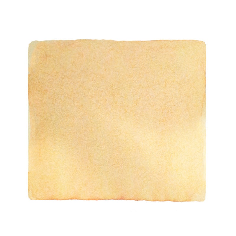 Project Ink No.023 Dan Hwang – 2ml