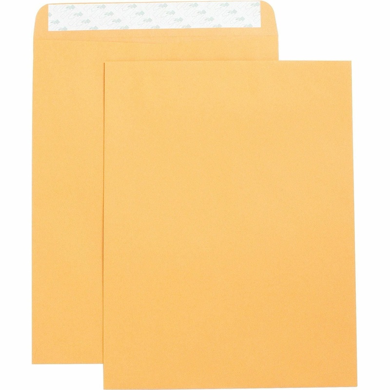 Business Source Self Adhesive Kraft Catalog Envelopes – Catalog – 10″ Width x 13″ Length – 28 lb – Self-sealing – Brown Kraft – Kraft – 250 / Box