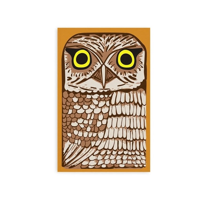 Retro 51 Classic Notebook – Owl Rescue (Dotted)