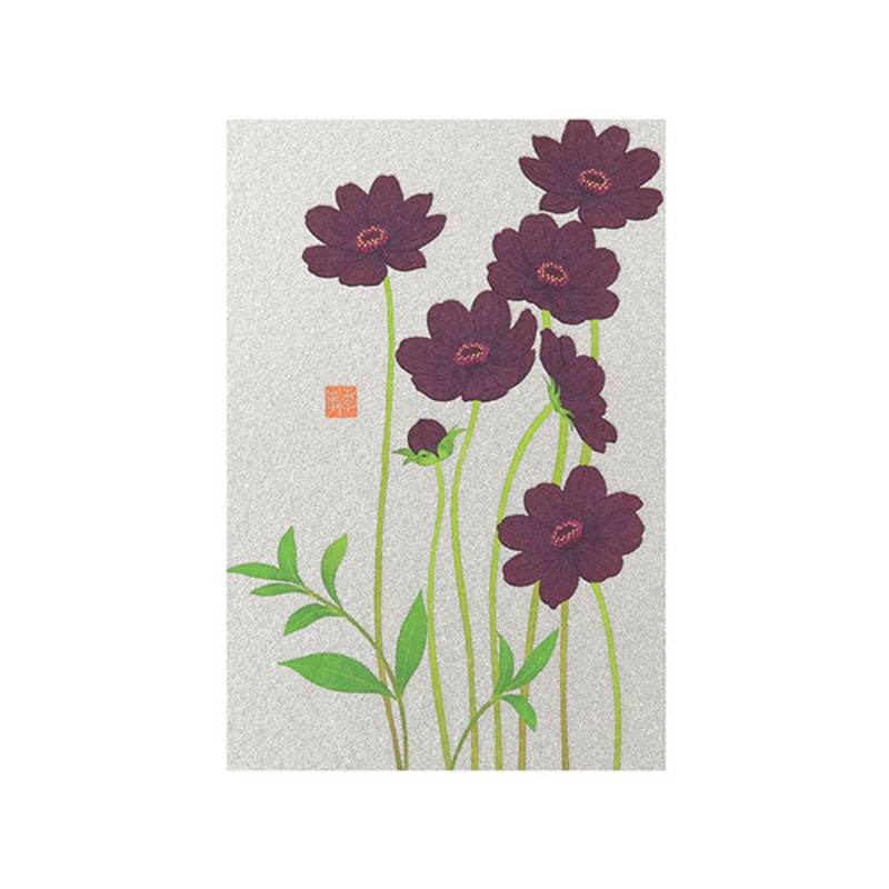Midori –  Autumn Postcard Series Chocolate Cosmos