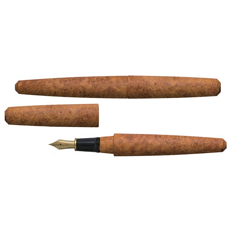 Platinum Izumo Fountain Pen – Karin-Kobu (Limited Edition) Medium